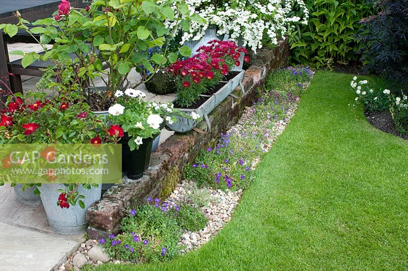 Cottage garden with vintage galvanised containers planted with Argyranthemum Rosa and Spiraea on stone patio edged by small brick wall and graveled bed with Aubretia