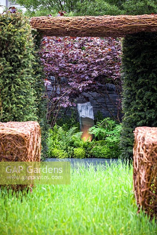 As Nature Intended Garden, Silver gilt medal winner, Chelsea Flower Show 2013. View through yew hedging to stone landscaped floor and border planted with ferns and Polygonatum with drystone wall and stone sculpture