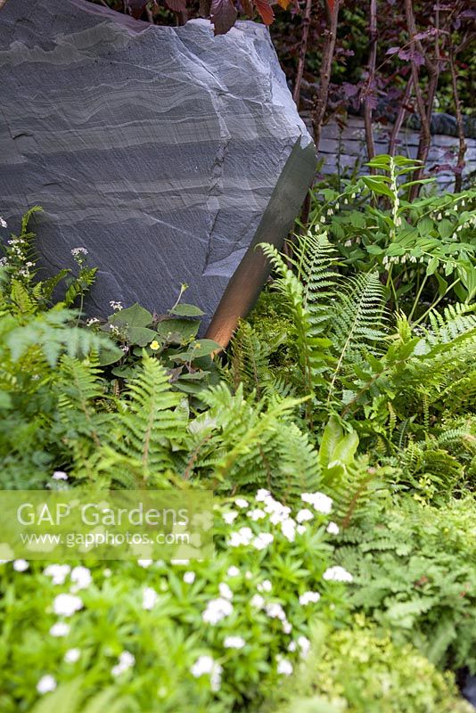 Stockton Drilling as Nature Intended Garden, Silver gilt medal winner, Chelsea Flower Show 2013. Woodland planting and stone sculpture with ferns