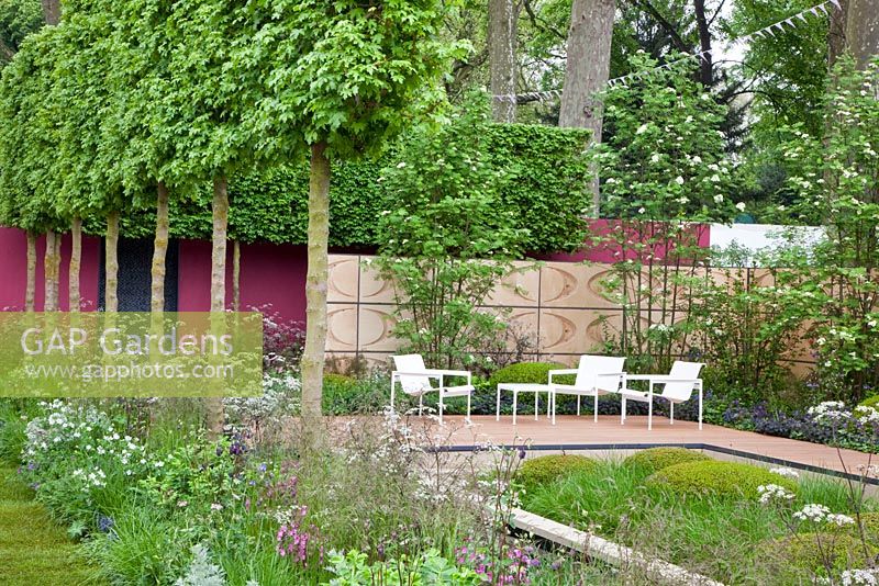 The Brewin Dolphin Garden - contemporary garden with seats and row of pleached Acer campestre