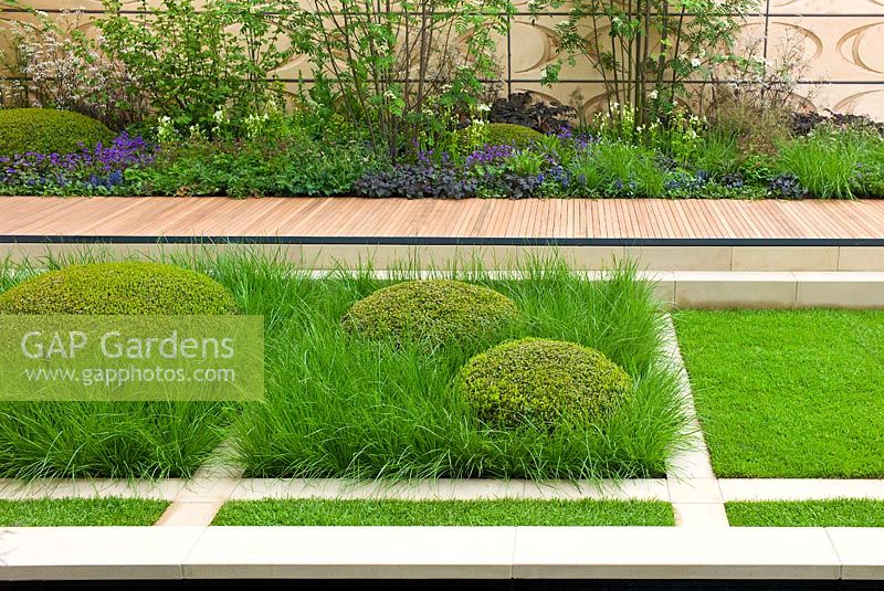 A sunken garden with Buxus sempervirens and grasses in The Brewin Dolphin Garden at the RHS Chelsea Flower Show