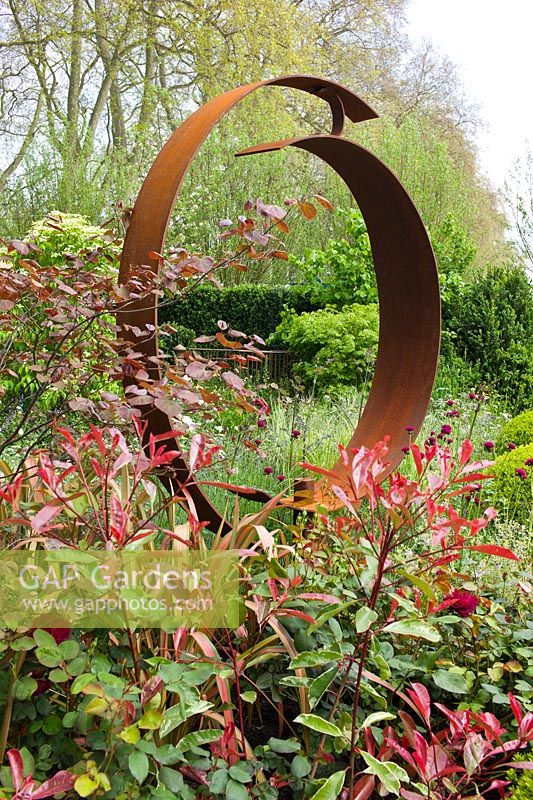 Corten steel sculpture in 'Windows through Time' at the RHS Chelsea Flower Show. Planting includes: Leucothoe 'Zeblid', Cercis canadensis 'Forest Pansy', Cirsium rivulare 'Atropurpureum', Phormium and Roses