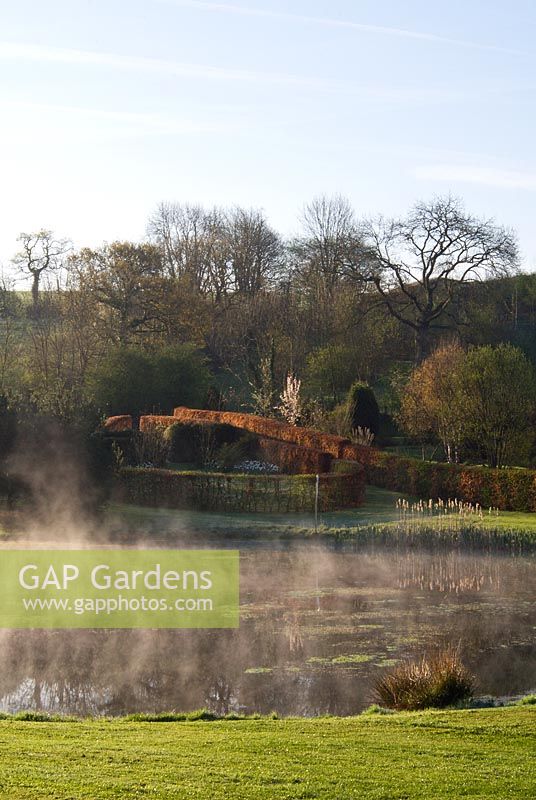 Plaz Metaxu garden at Coombe House, Devon. Mist rising off the lake in front of the Beech Enclosure.