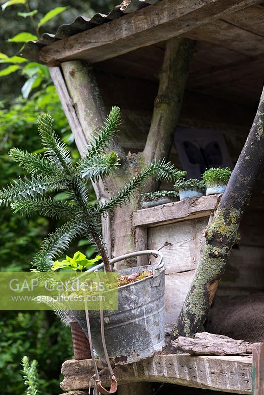The NSPCC Garden of Magical Childhood - treehouse with a young pine tree in a galvanised bucket and a catapult