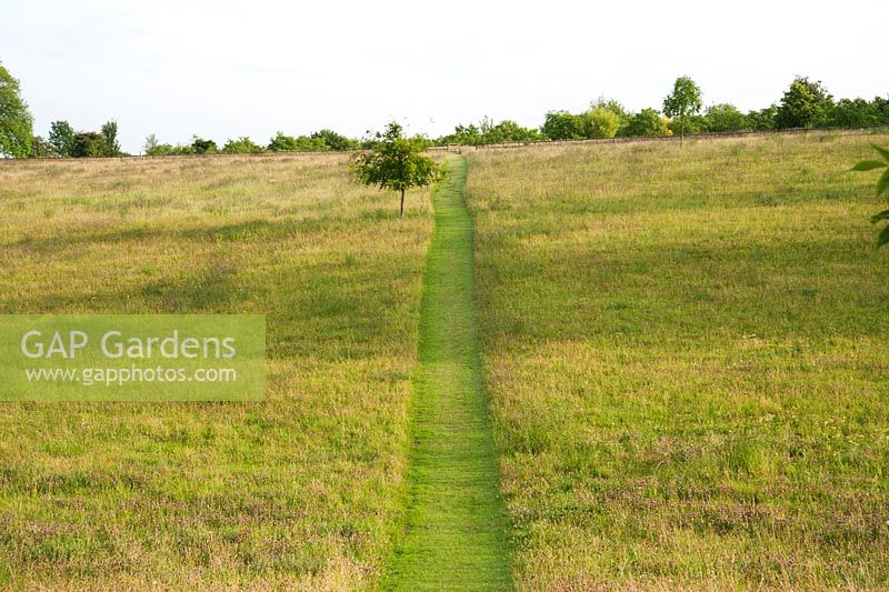 Mown path leads through the meadow up to the walnut plantation. 