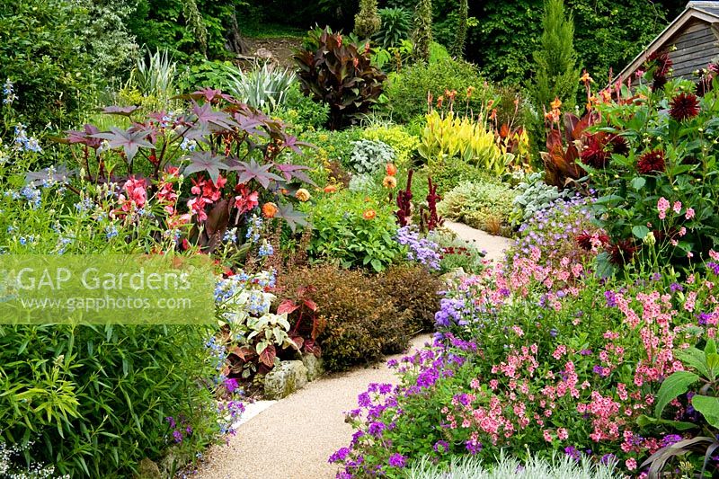 Beautifully composed informal double border of exotic tropical late summer bulbs and perennials tender path winding between borders 