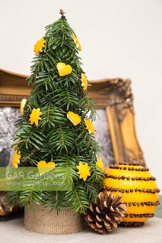 Mini Xmas trees with orange peel shapes for colour and decoration
