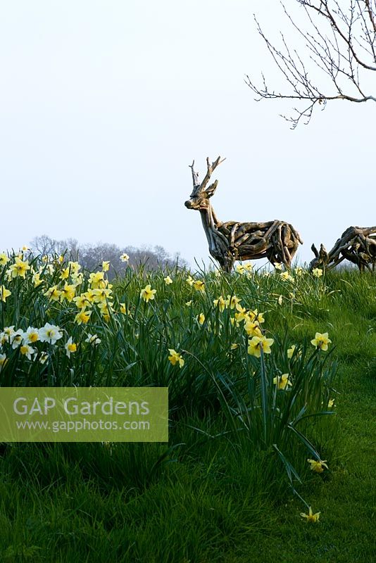 Roe deer made from driftwood in Spring planting of Narcissus