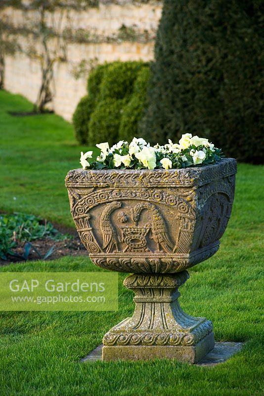 Ornate stone urn on the lawn in spring planted with yellow pansies