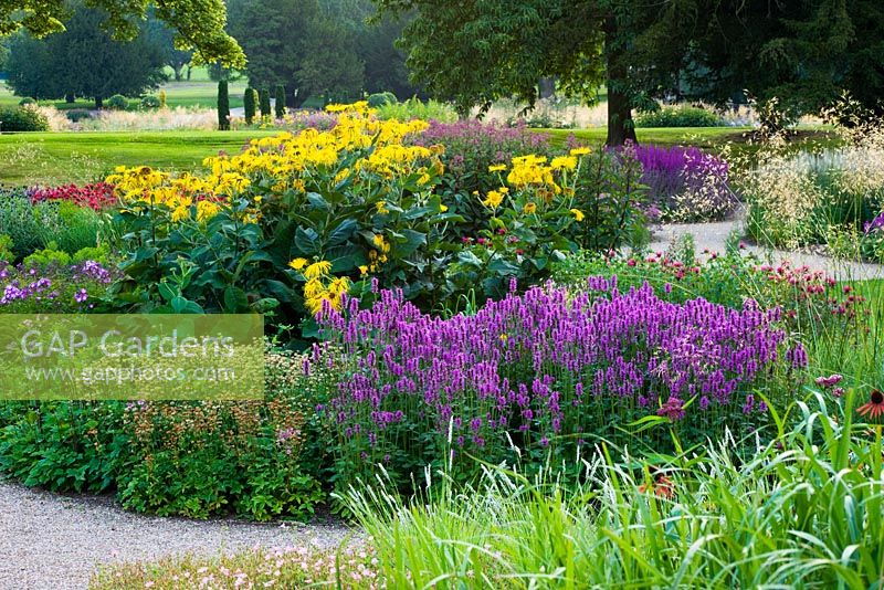 Wooland planting in evening light by Piet Oudolf. Border with Agastache and Inula Manifica 