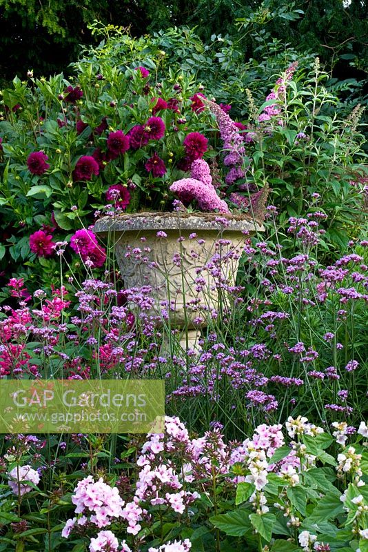 Centre of pink perennial border with urn and Phlox arendsii 'Ping Pong', Malva 'Romney March', Verbena bonariensis, Buddleia 'Pink Delight' and Dahlia 'Admiral Rawlings'