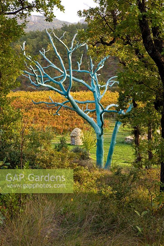 View through the woodland to vines and a stone well in front of a tree painted blue by Marc Nucera. Provence, France, Domaine de la Verriere
