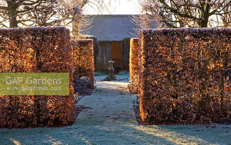 Winter garden in frost - view through beech hedging at dawn to sundial and summerhouse. Lawn with frost. Wollerton Old Hall, Shropshire