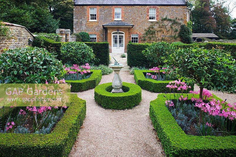 The knot garden with sundial, box edged beds planted with Nerine bowdenii. The Old Rectory, Haselbech, Northamptonshire