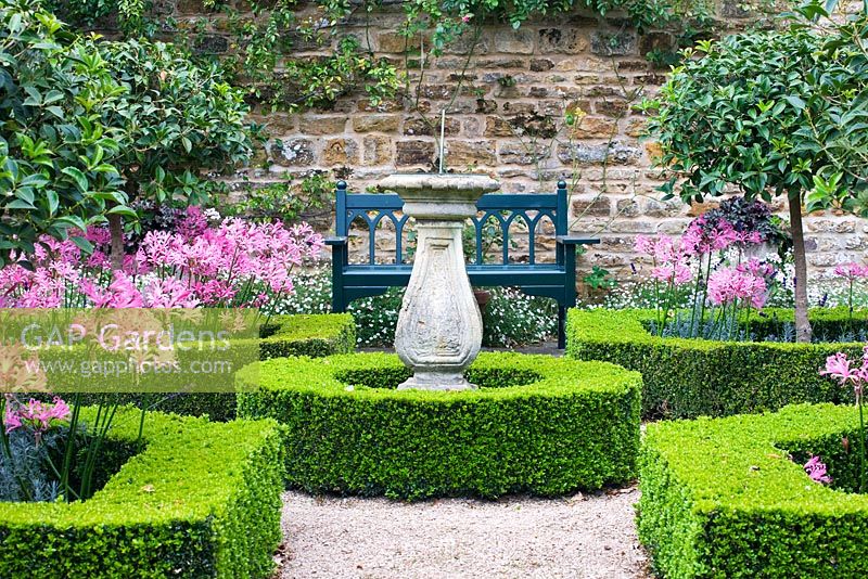 Knot garden with sundial, box edged beds planted with Nerine Bowdenii 