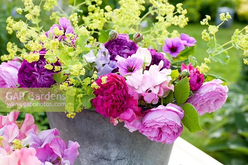 Summer flowers in old metal buckets - roses, sweet peas, alchemilla mollis, geraniums