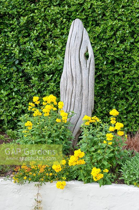 Sculptured wood in raised bed by Ilex hedge