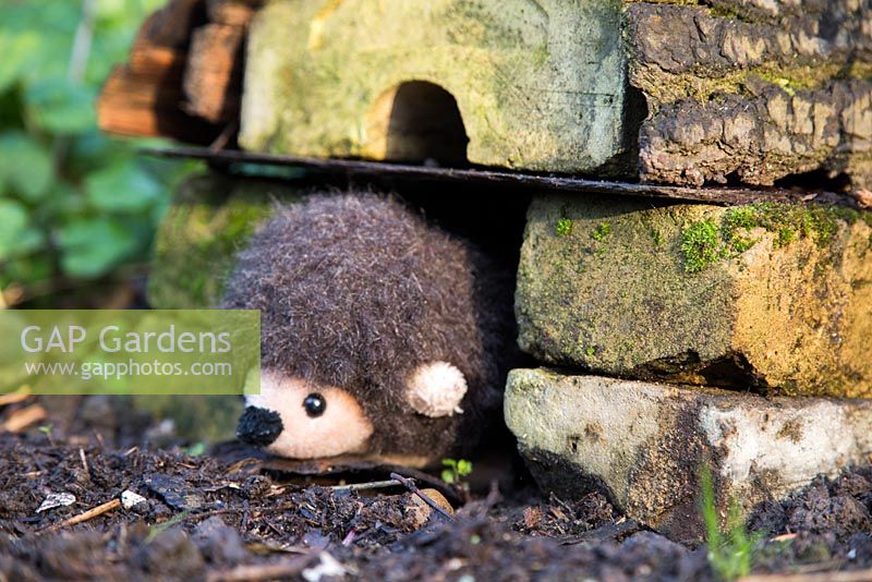 Cuddly Hedgehog toy sat in the entrance of a homemade hedgehog house