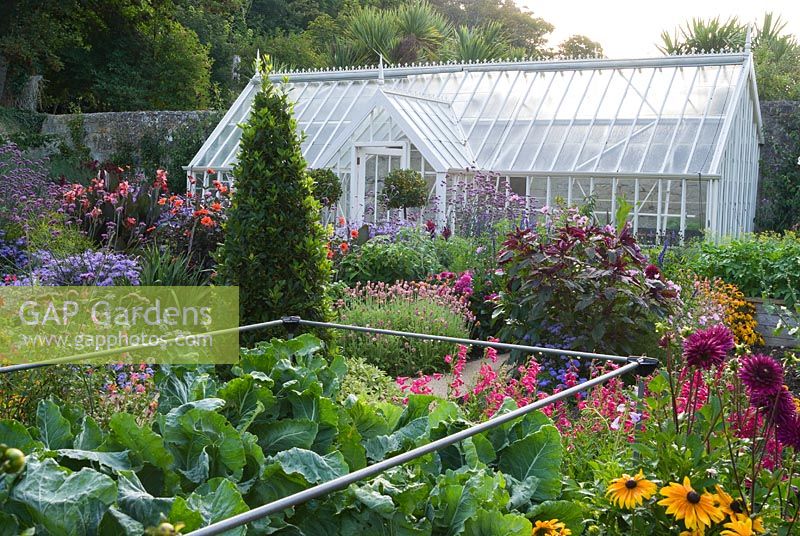 Vegetables and ornamentals are grown in the walled garden, a luscious mix here of cabbages, penstemons, dahlias and rudbeckias with smart Alitex greenhouse beyond. 