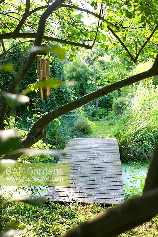 Path leading over wooden bridge, pond in garden with bamboo and wind chimes in tree