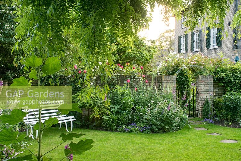View of town garden framed by weeping ash tree. Lawn with garden seat and herbaceous beds. Stepping stones leading to gate in wall.