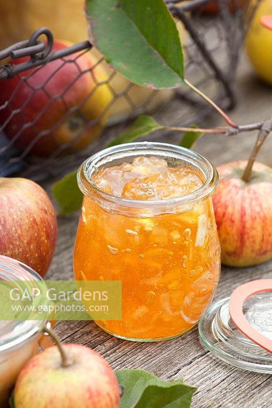 Apple marmalade made from Malus domestica 'Cox Orange'
