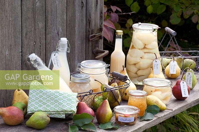 Display of produce made from pears including  Pyrus communis 'Bonne Louise', 'Fondante de Charneux', 'Abate Fetel', 'Conference' and 'Williams Christ'