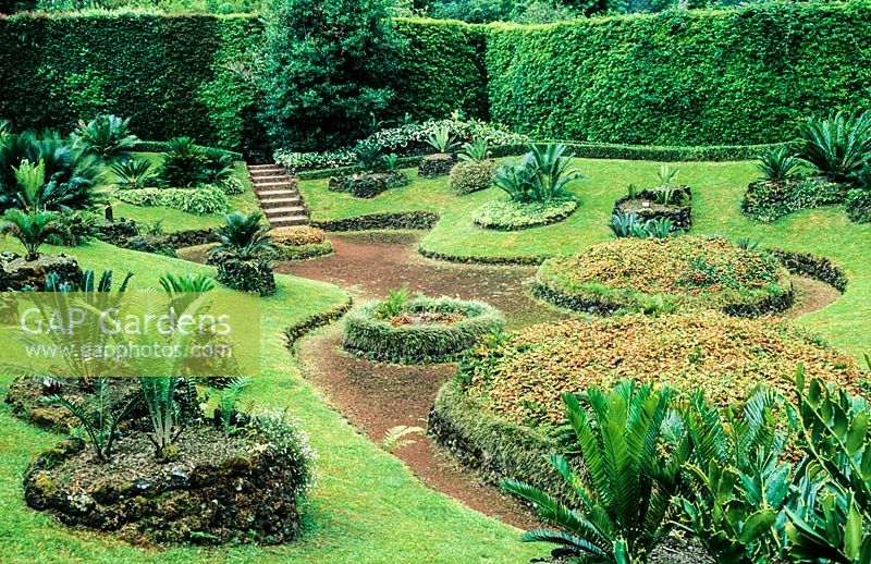 The Cycads garden. Terra Nostra Garden, Fumas, Sao Miguel, Azores. July.