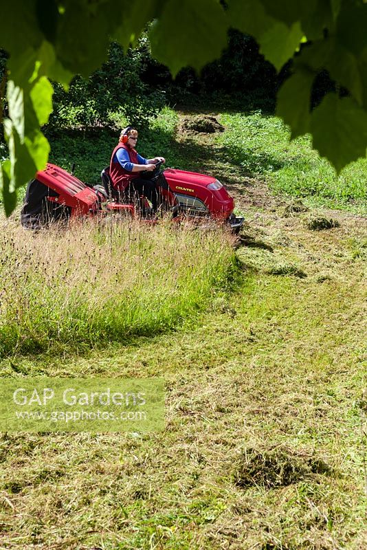 Woman cutting the meadow with a Countax four wheel drive mower. Veddw House Garden, Monmouthshire, Wales