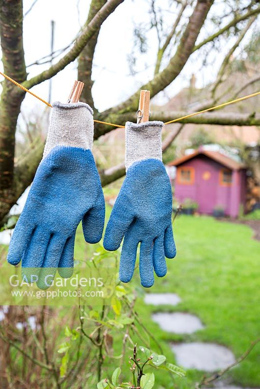 Hanging clean gardening gloves to dry in the garden