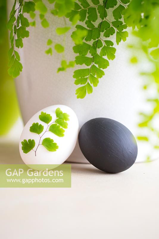 Blown egg painted black, decorated with paper cut out and duck egg with cutting of Maidenhair Fern - Adiantum
