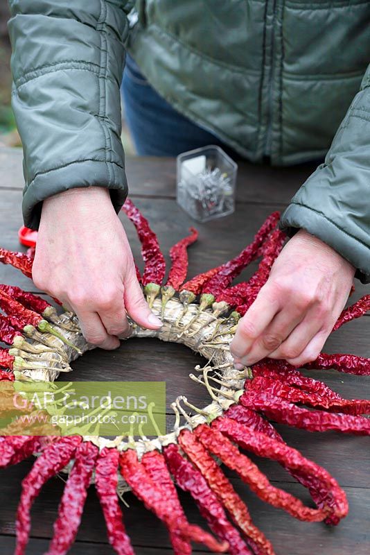 Woman attaching dried red chillis to a wreath