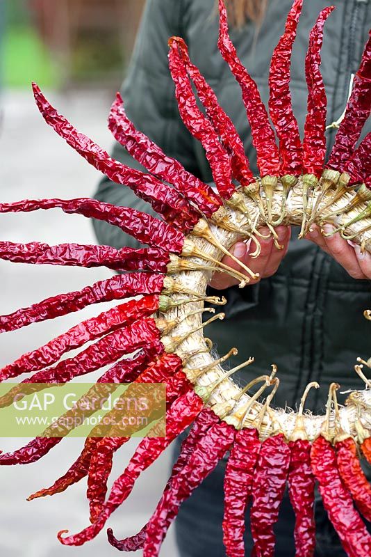 Woman holding a wreath made using harvested, and dried red chillis