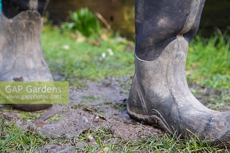 Damage caused by walking through a sodden lawn