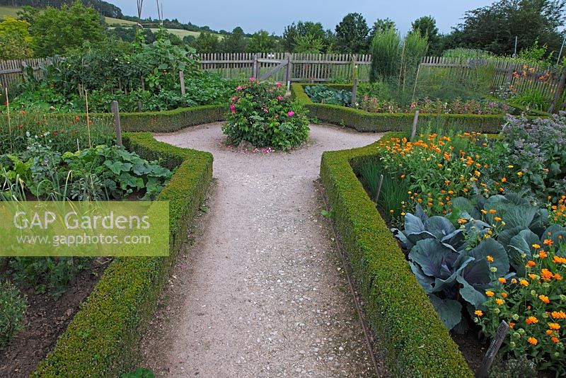 Formal garden with Buxus edging and beds containing Brassica, Borage and Calendula