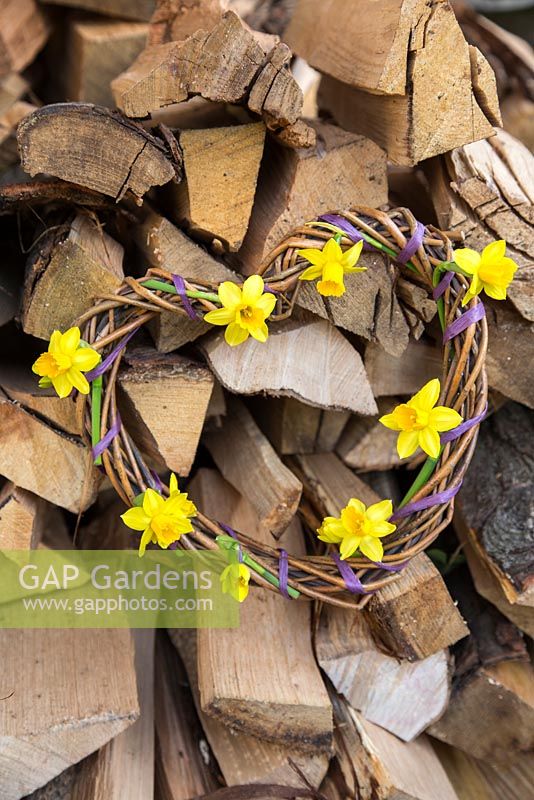 Woven daffodil wreath against stack of logs. Narcissus 'Tete a tete'