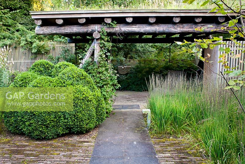 Molinia caerulea 'Moorhexe', box topiary. Timber gazebo in contemporary designed garden. 