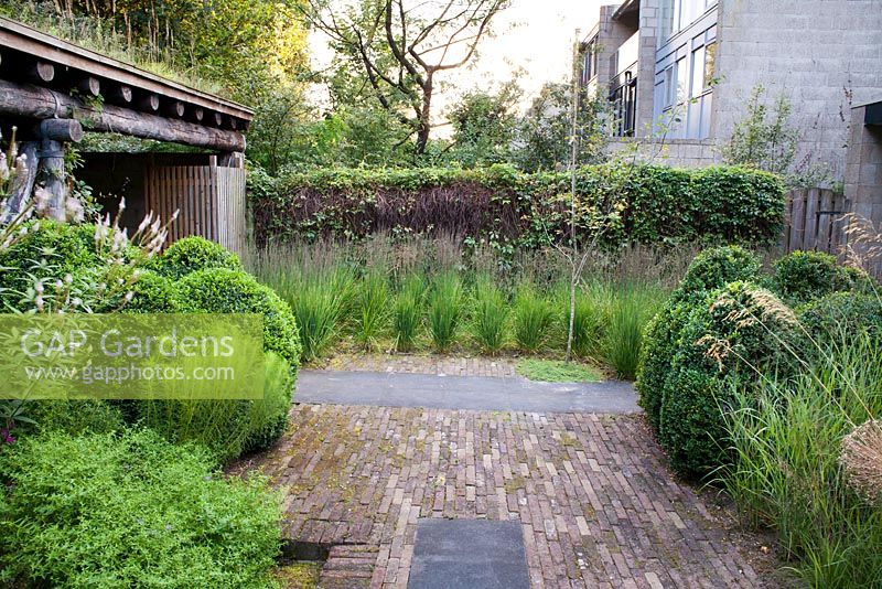 Molinia caerulea 'Moorhexe', box topiary. Timber gazebo  in contemporary designed 