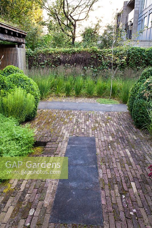 Molinia caerulea 'Moorhexe', box topiary. Timber gazebo  in contemporary designed garden. Van Elk family garden. Design: Tom de Witte