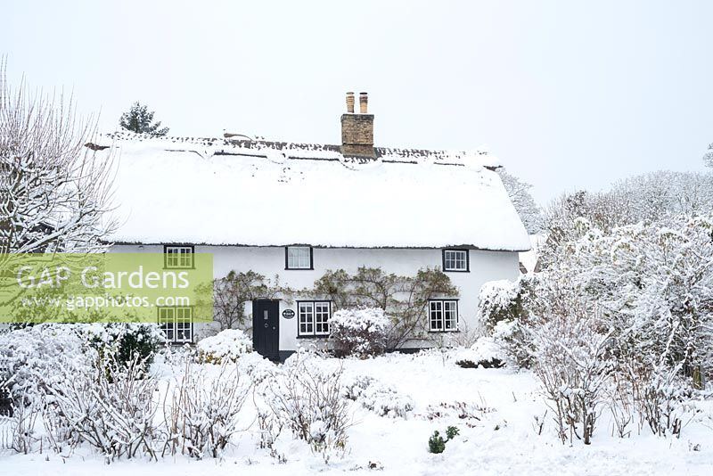 Thatched house with snow 