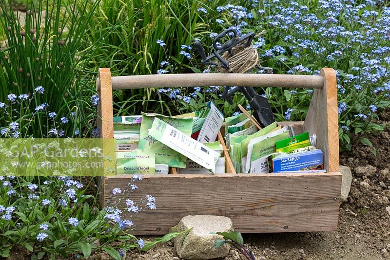 Wooden box with paper seed bags and a plant line next to chives and forget-me-nots