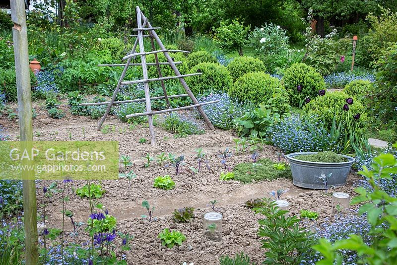 The vegetable garden with a wooden haystack support and a tin tub
