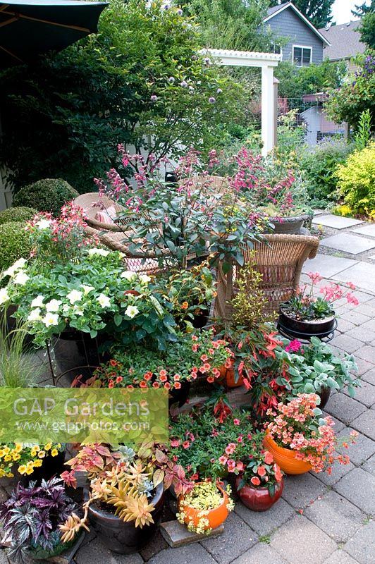 Variety of potted plants beside seating area on Patio
