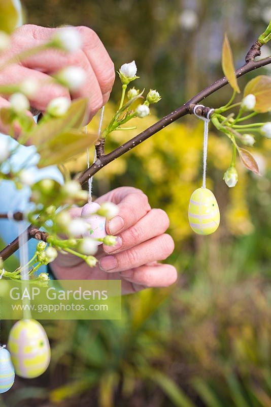 Small decorative eggs hanging from branch