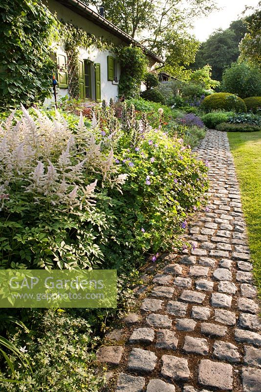Paved path between lawn and summer border to the house.  Acanthus 'Spinosus', Geranium 'Rozanne', Astilbe 'Deutschland'. Dina Deferme garden