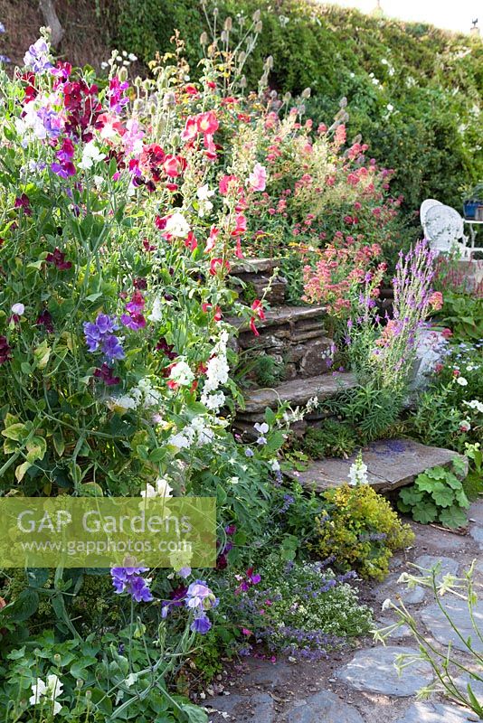 Steps surrounded by lots of annuals.