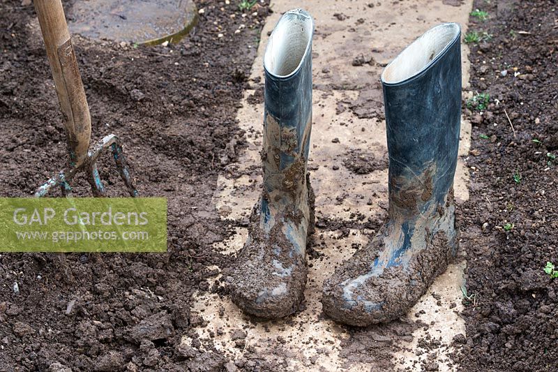 Gardeners muddy boots after digging the garden