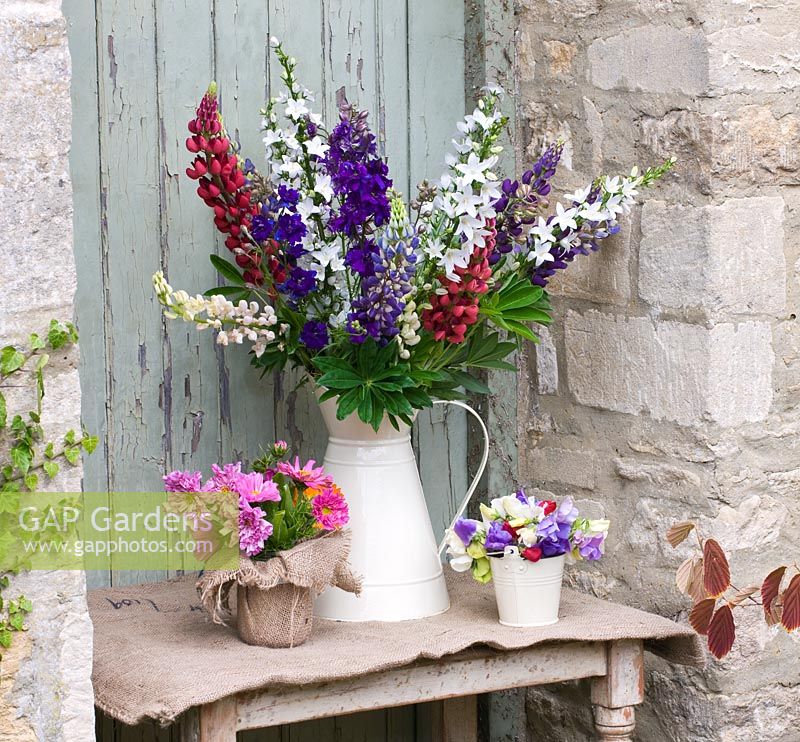 Jug with lupins, hessian pot of double cosmos, pail of mixed sweet peas.  The Garden and Plant Company, Hatherop Castle, Cirencester, Gloucestershire