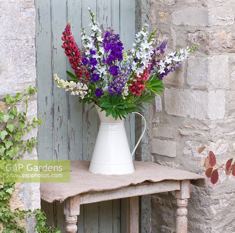 Jug with lupins beside pale blue door. The Garden and Plant Company, Hatherop Castle, Cirencester, Gloucestershire