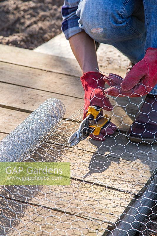 Cutting section of chicken wire. 